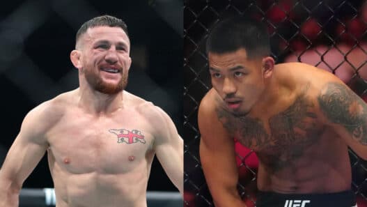 combattants année 2025 ufc