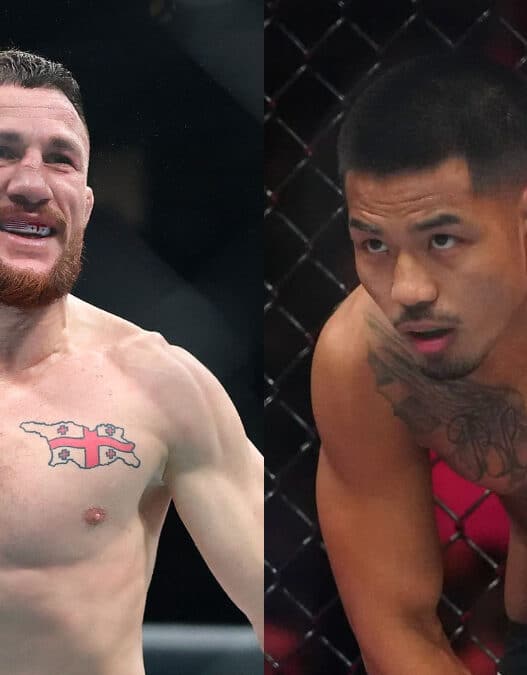 combattants année 2025 ufc