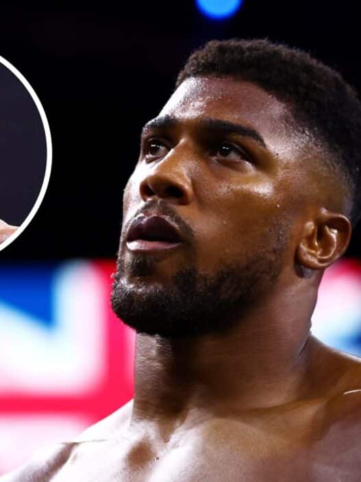 deontay wilder inquiet joshua jake paul