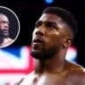 deontay wilder inquiet joshua jake paul