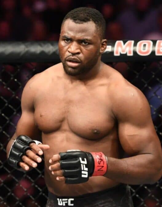 francis ngannou cible deux adversaires