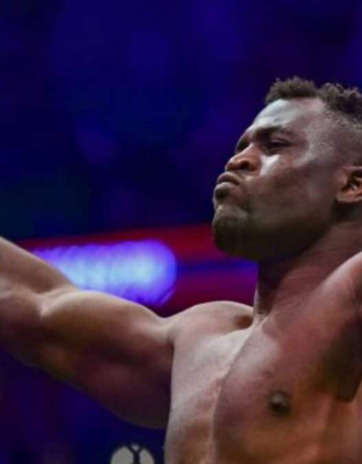 francis ngannou defie champion pfl