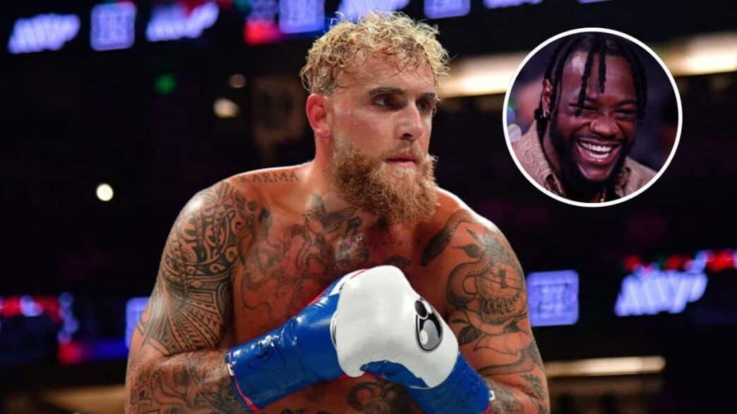 jake paul wilder combats truqués