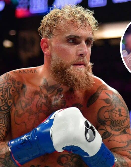 jake paul wilder combats truqués