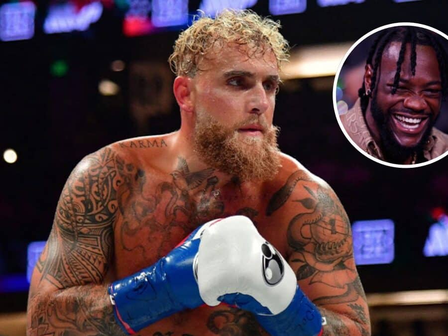 jake paul wilder combats truqués