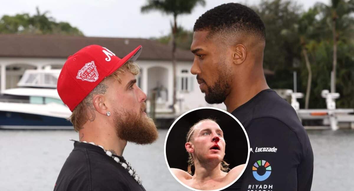 joshua jake paul pronostic paddy pimblett