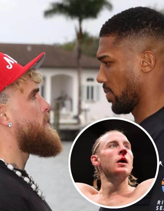 joshua jake paul pronostic paddy pimblett