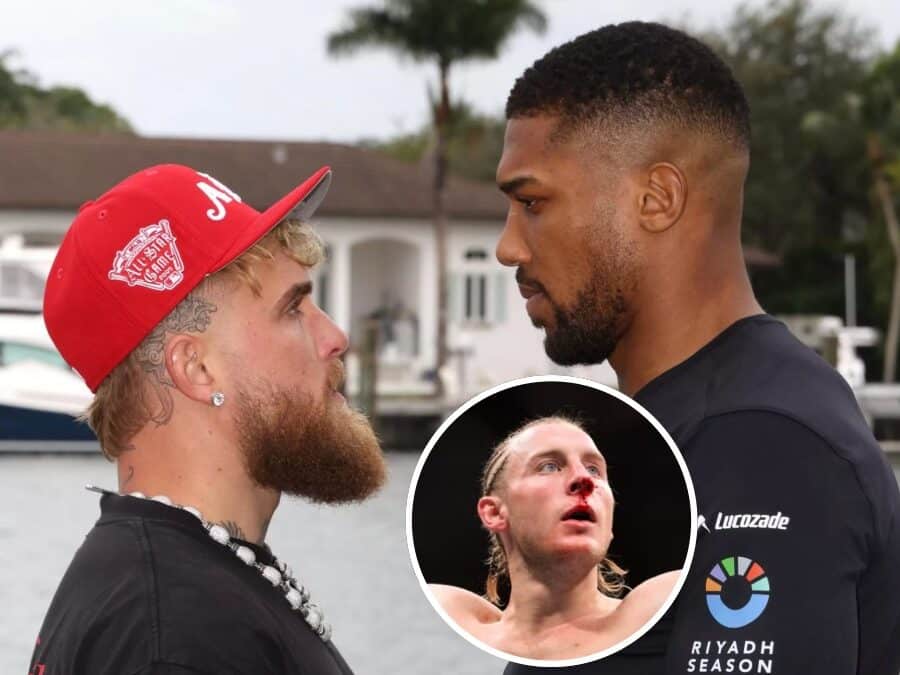 joshua jake paul pronostic paddy pimblett