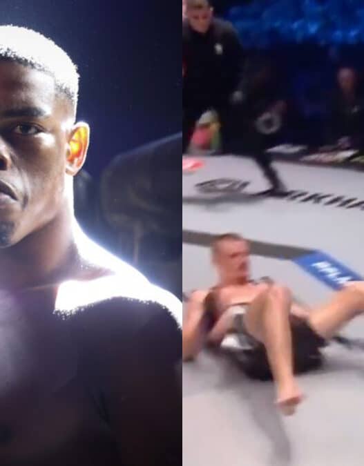 pfl lyon habirora jousset ko