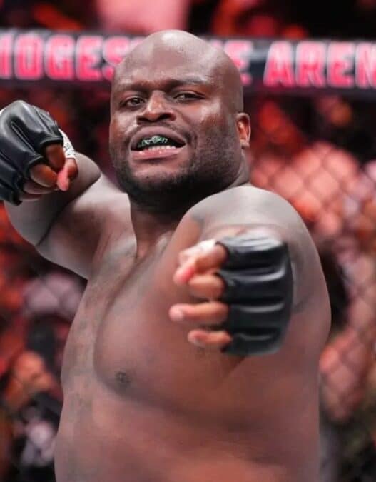 roi kickboxing refuse ufc 324