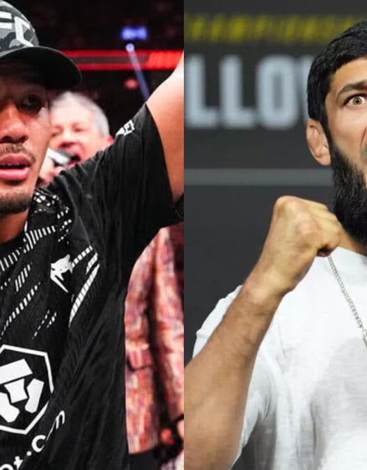 ufc champions moins actifs