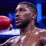 anthony joshua retour rumeurs accident