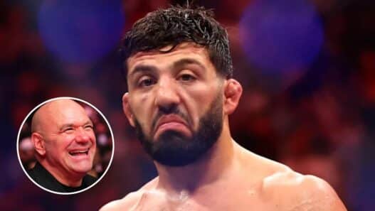 arman tsarukyan puni ufc