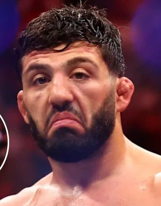 arman tsarukyan puni ufc