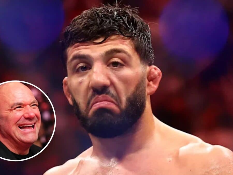 arman tsarukyan puni ufc