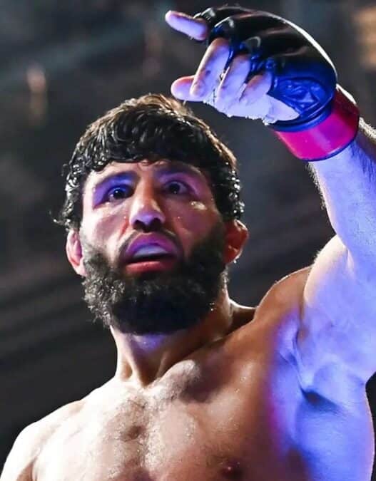 arman tsarukyan trop dangereux ufc