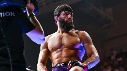 star hollywoodienne arman tsarukyan