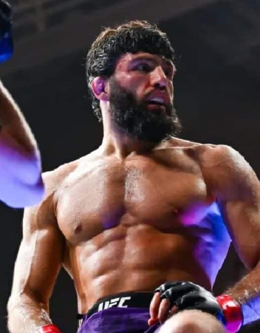 star hollywoodienne arman tsarukyan