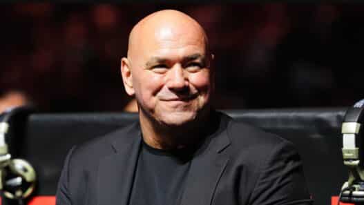 ufc 324 cartonne chiffres