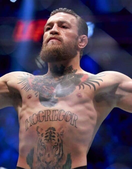 conor mcgregor holloway niveau