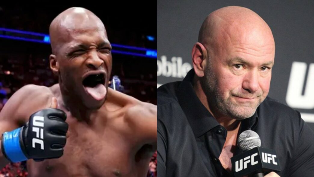dana white ufc mma