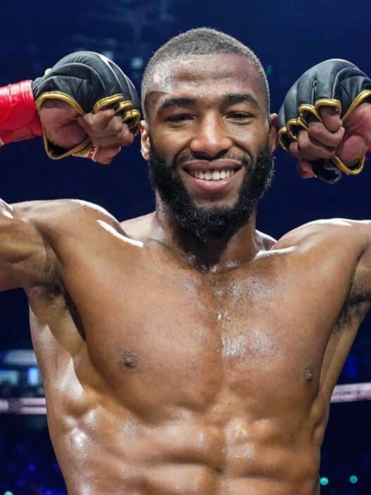 salahdine parnasse ufc