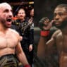 aljamain sterling islam makhachev volkanovski