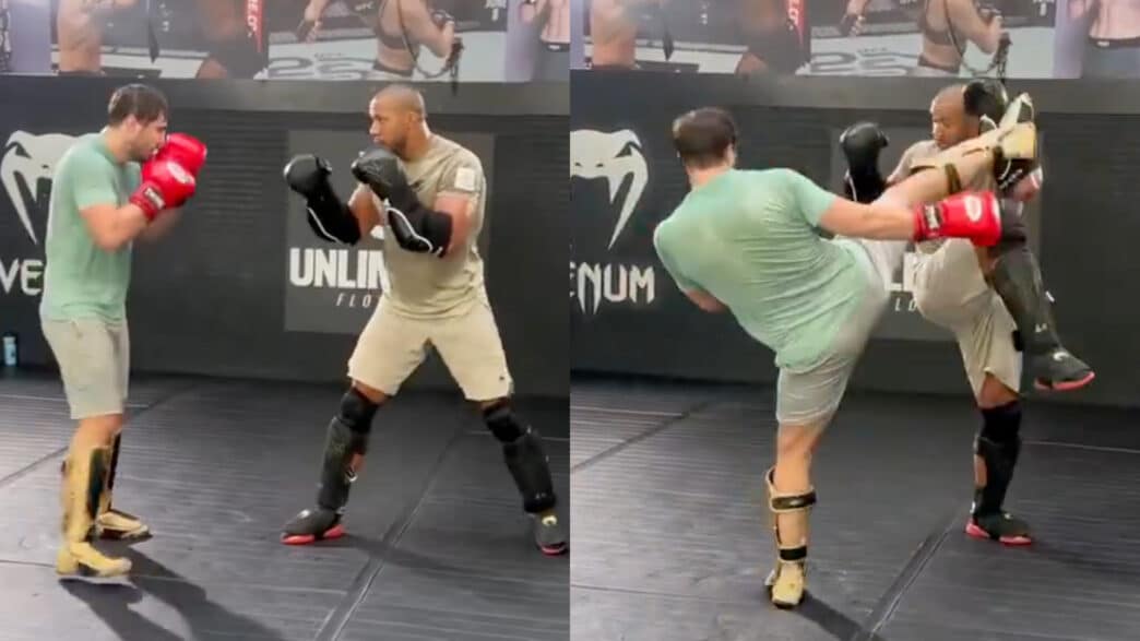 ciryl gane entrainement bete noire alex pereira