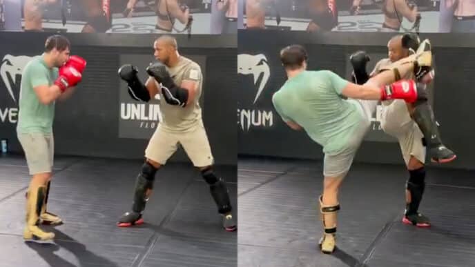 ciryl gane entrainement bete noire alex pereira