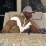 floyd mayweather somme colossale impots
