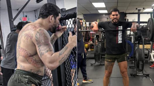 Alex Pereira transformation physique
