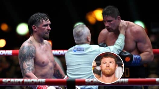 canelo arbitre sauve rico verhoeven