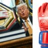 Les nouveaux gants de l&rsquo;UFC pour la Maison Blanche enfin d&eacute;voil&eacute;s