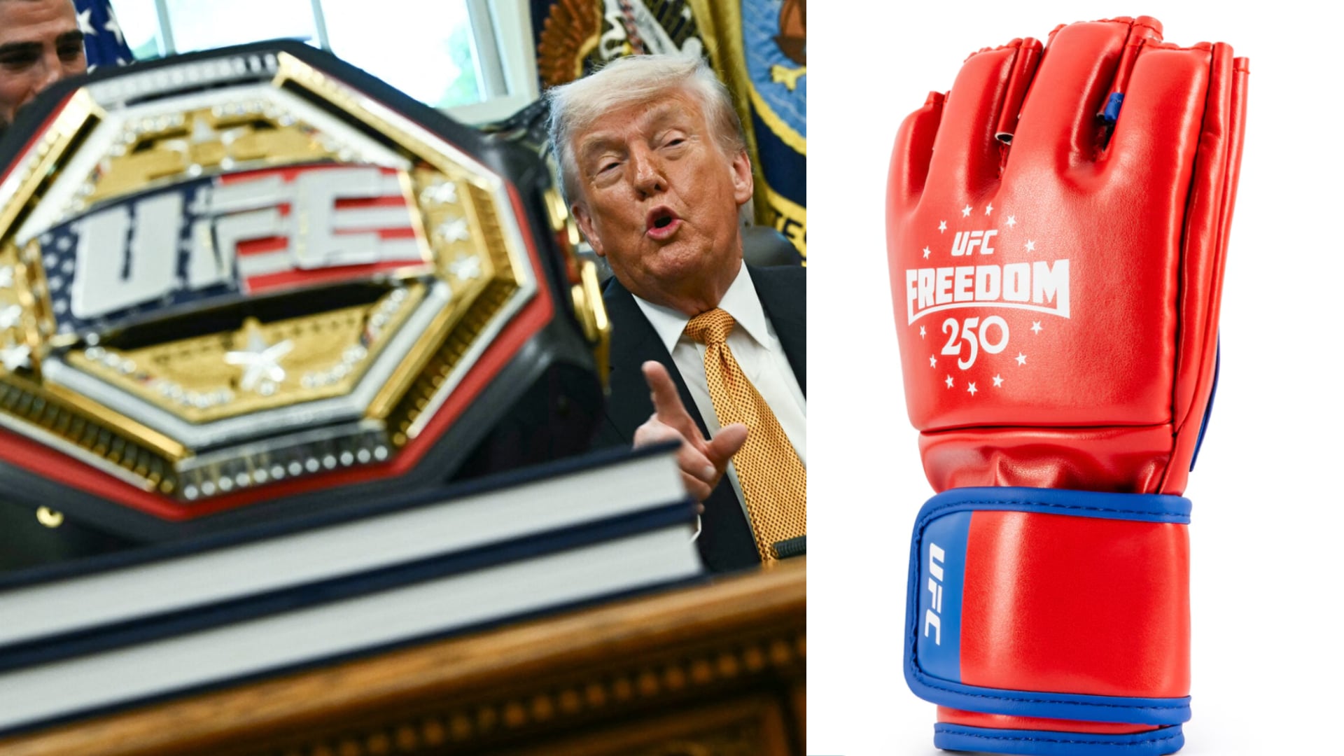 https://lasueur.com/wp-content/uploads/2026/06/Gants-UFC-Maison-Blanche.jpg