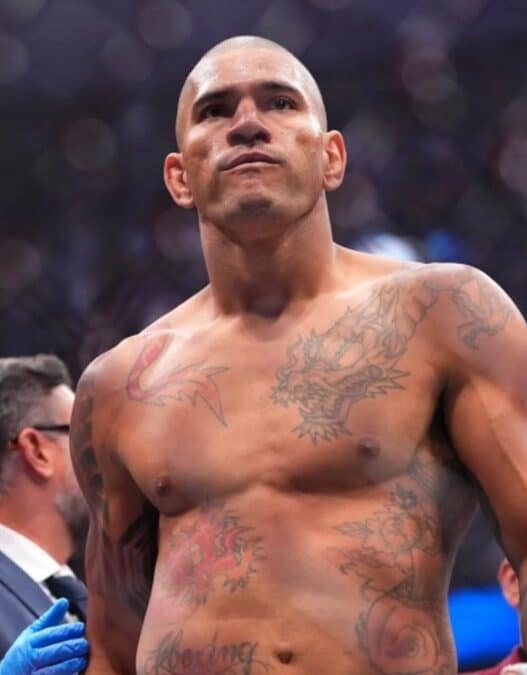 alex pereira shape finale heavyweight