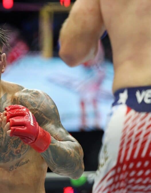 etat sante ilia topuria apres ufc maison blanche