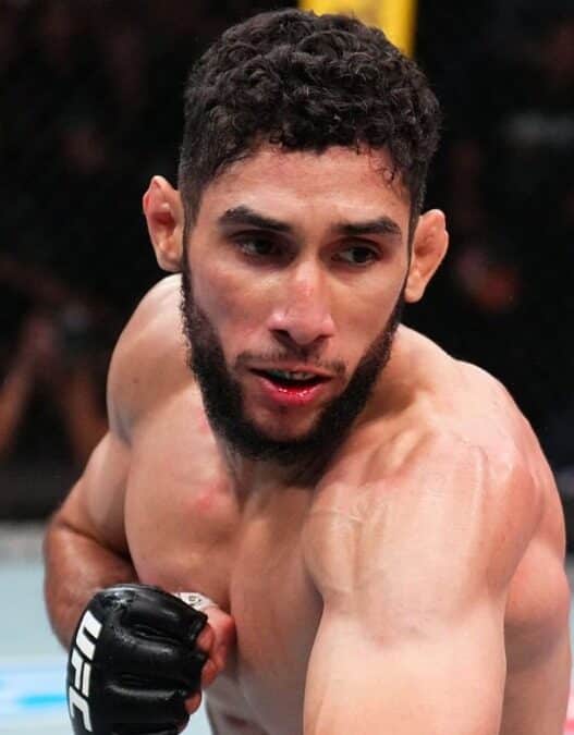 fares ziam s'incline ufc vegas 118 tom nolan