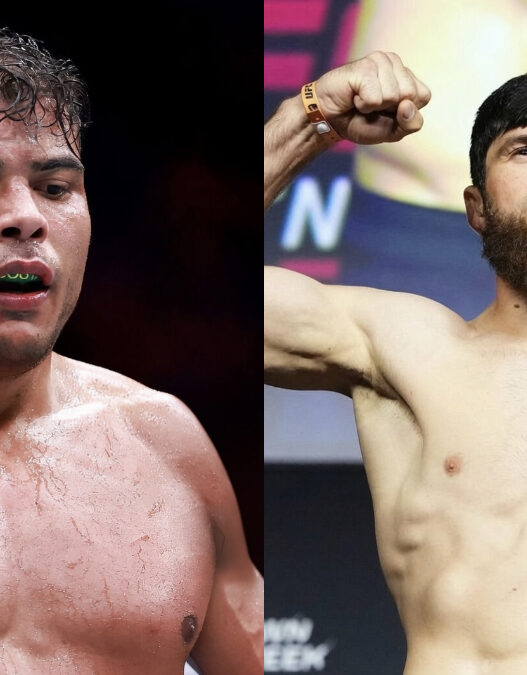 ankalaev repond critiques paulo costa
