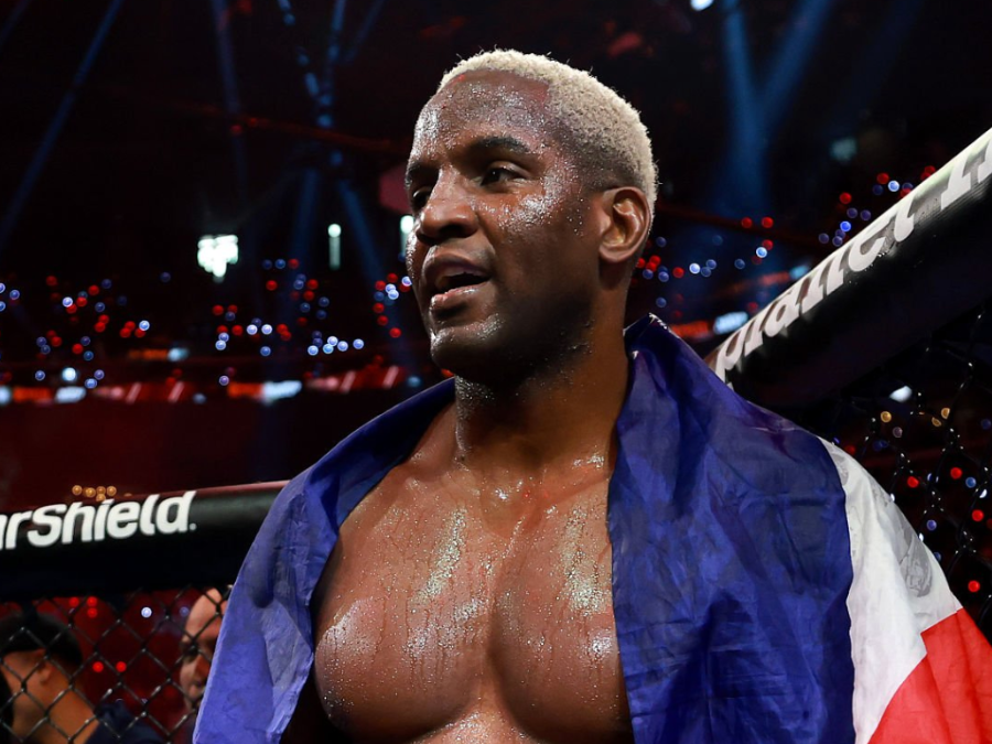robelis despaigne retour ufc