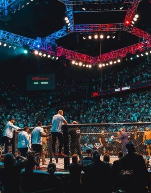 visage historique ufc paris absence