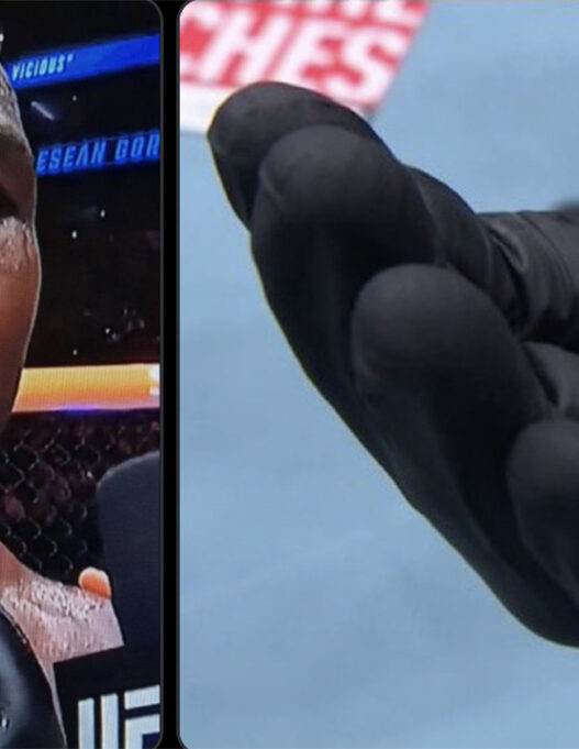 UFC 330 - Il perd ses dents et gagne quand m&ecirc;me !