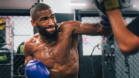 dan hooker surpris salahdine parnasse ufc paris