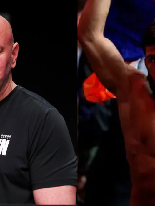 UFC 331