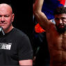 UFC 331