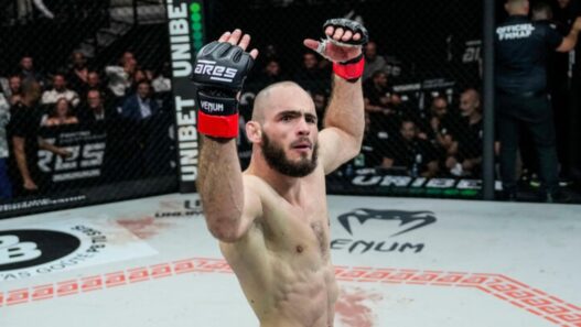 dwcs hugo guillon ufc