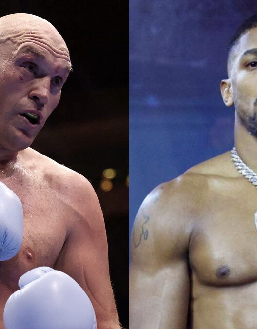 fury vs joshua officiel décembre 2026 netflix