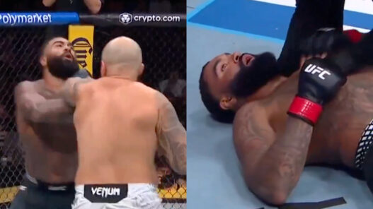 gable steveson protégé jon jones ko 12 secondes ufc 331