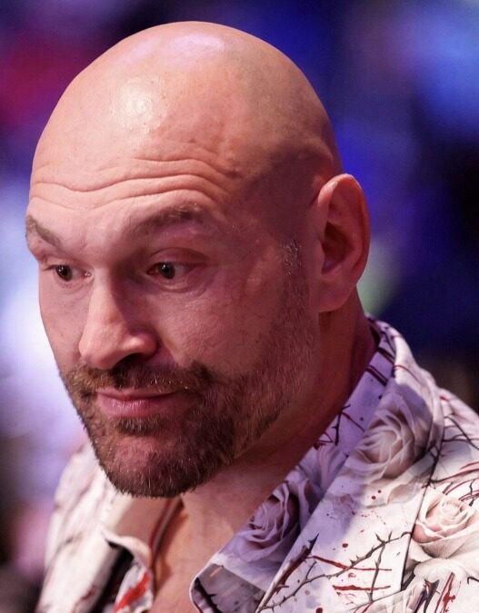 tyson fury anthony joshua annulé david benavidez