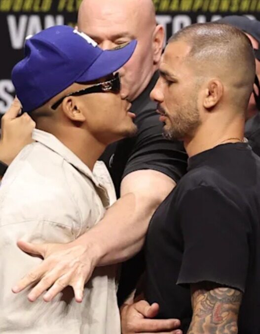 ufc 331 joshua van pantoja heure chaine
