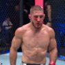 ufc paris 5 michael aljarouj s'incline